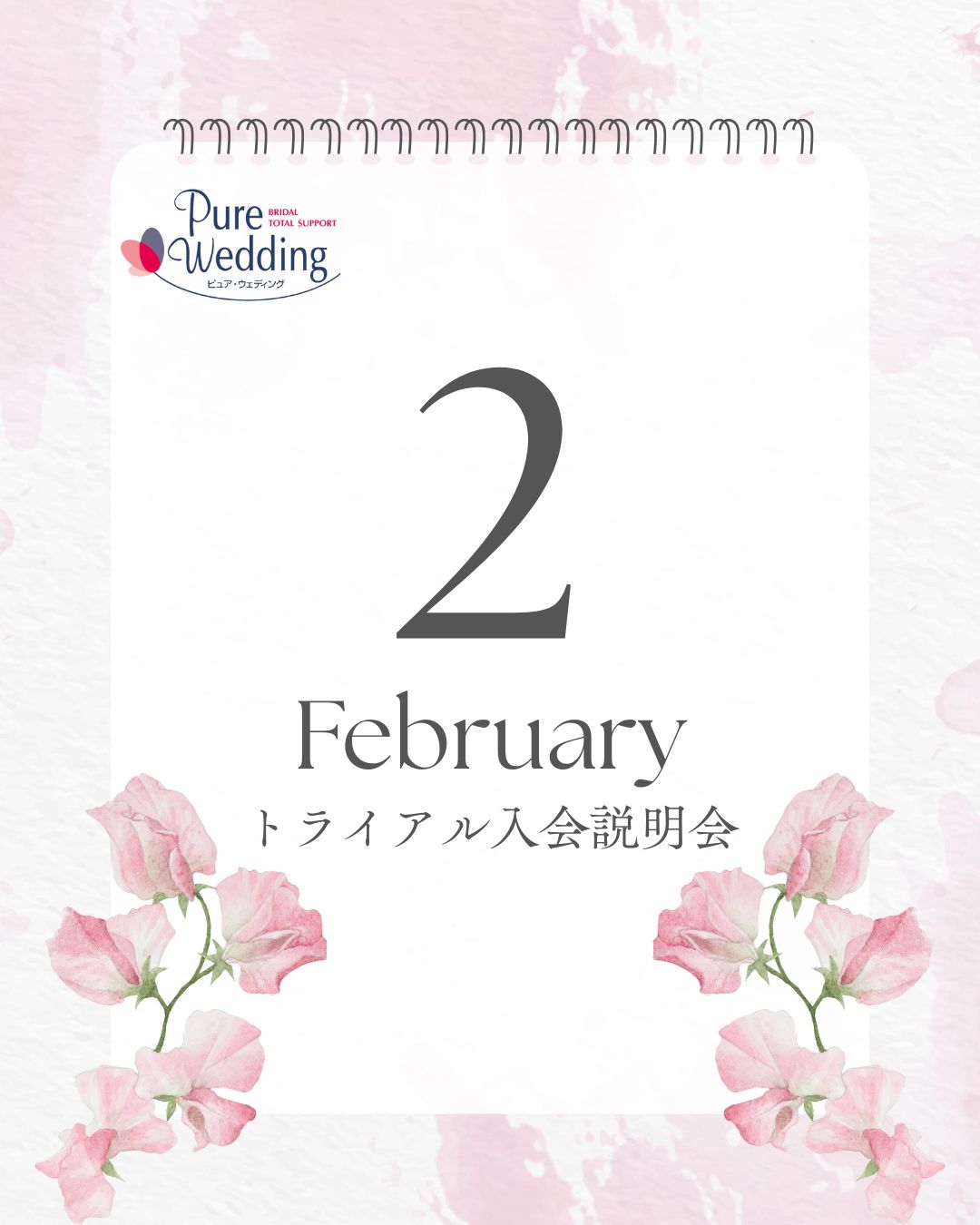 ２月 トライアル入会説明会【春に向けて婚活をスタートしたい方へ】 |  【IBJ加盟店】結婚相談所ピュアウェディング｜東京・大阪・海外・成婚実績多数の仲人型結婚相談所